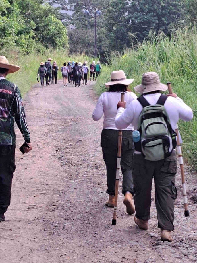 Imagen de la actividad
