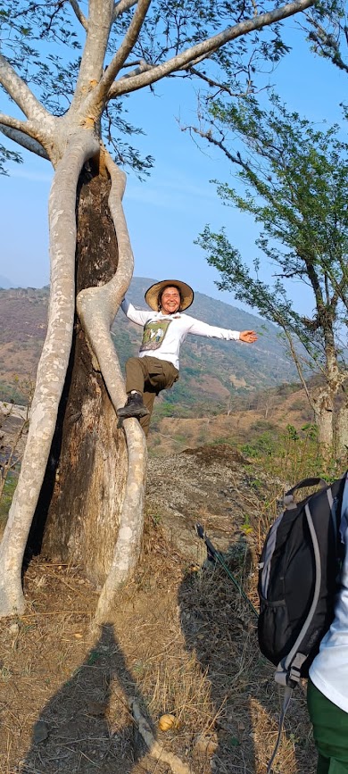 Imagen de la actividad