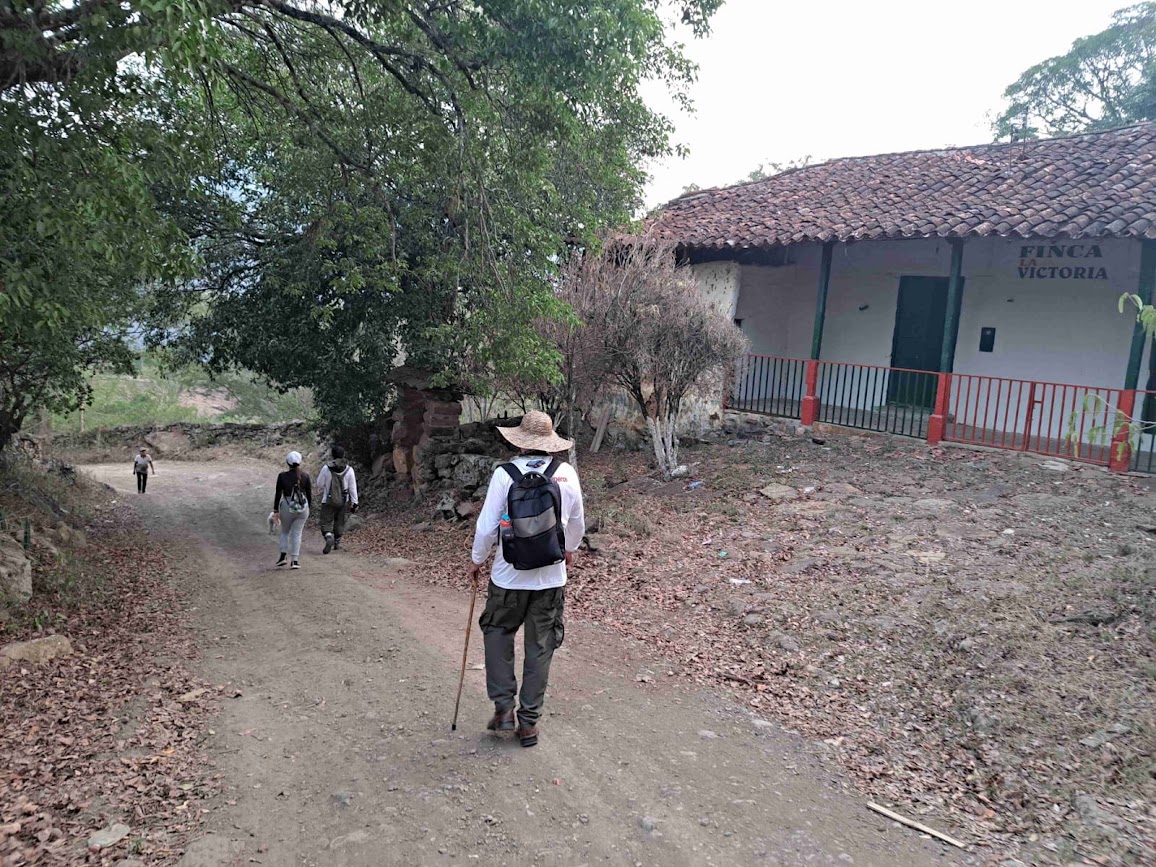 Imagen de la actividad
